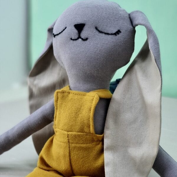 20220829 004625 rotated